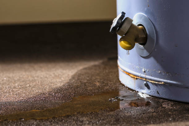 Best Flooded house restoration  in Spooner, WI