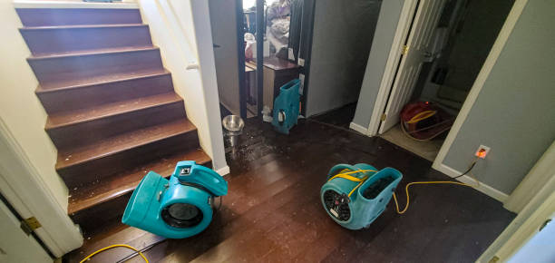 Best Basement water damage restoration  in Spooner, WI