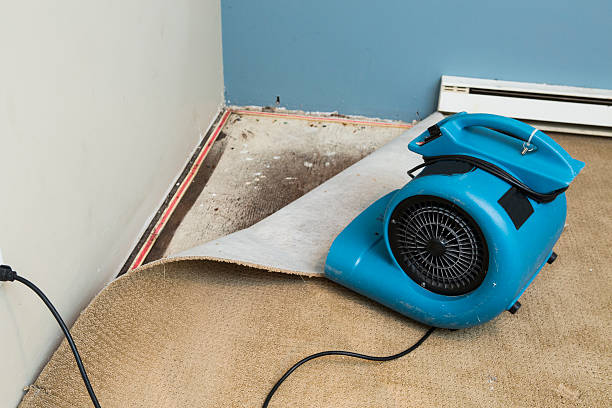 Best 24/7 water damage repair  in Spooner, WI